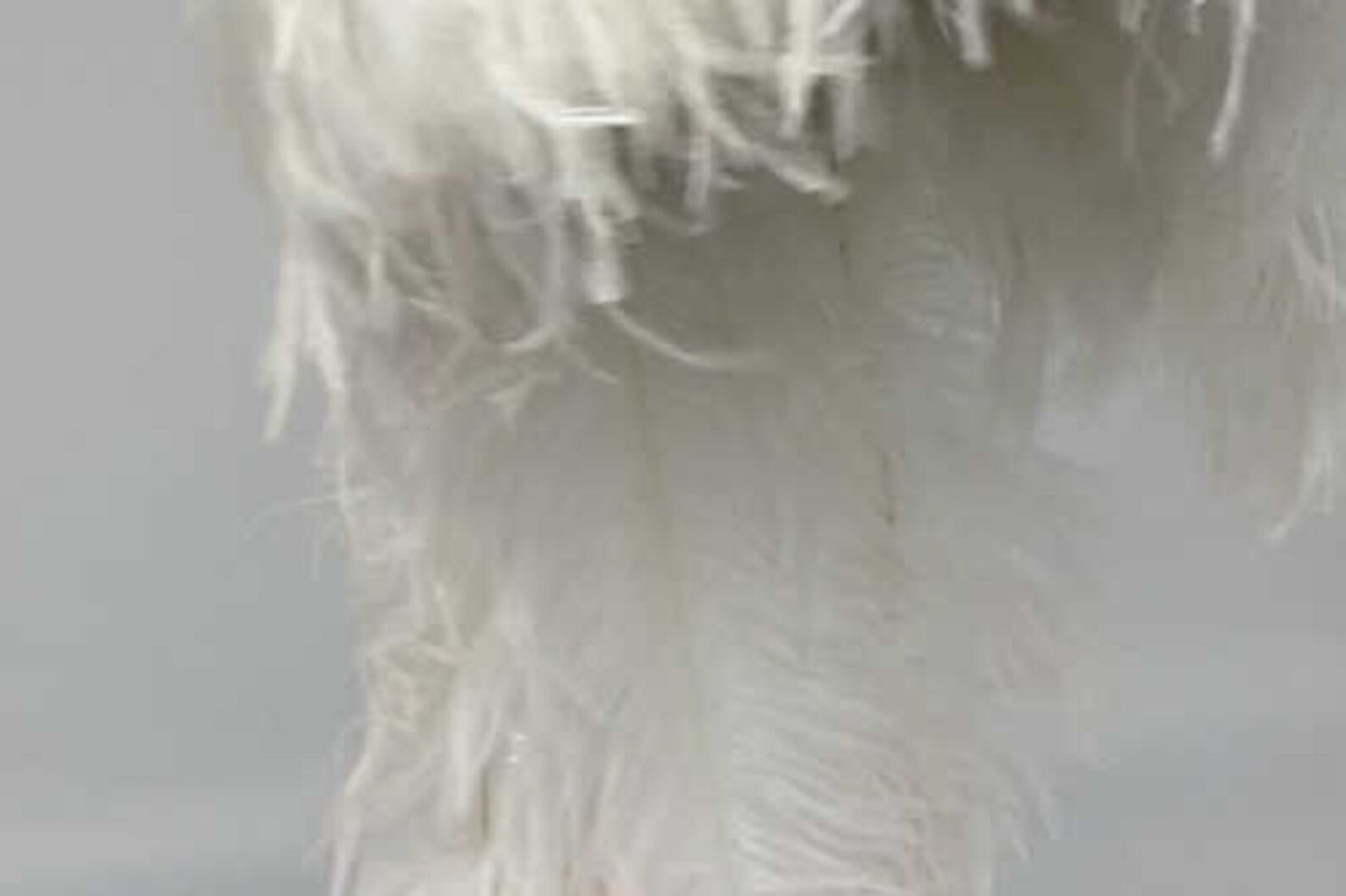 Feather wig Human Hair