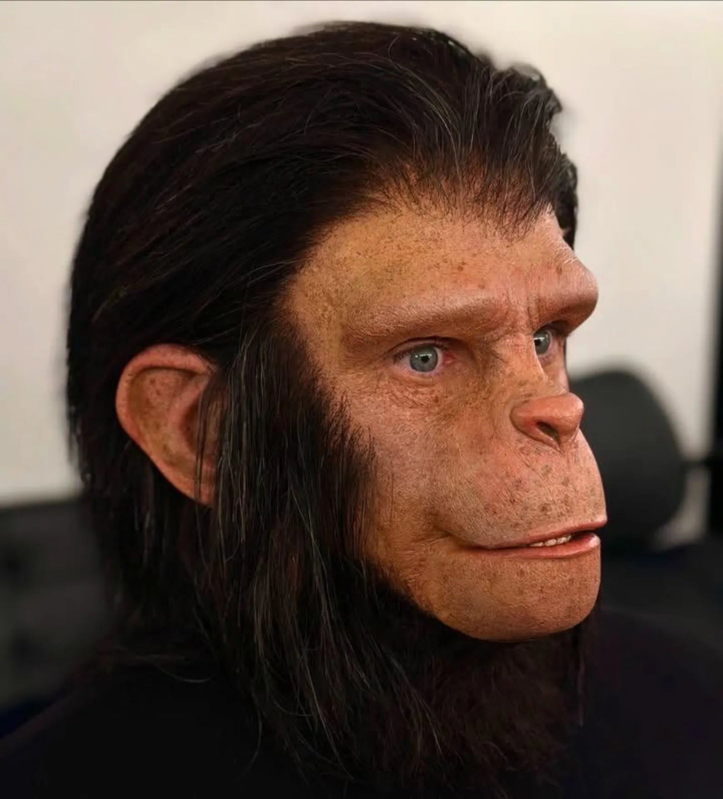 Creature Wig Human Hair/nft